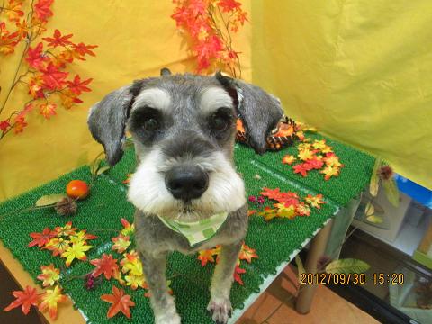 ファイル 5011-2.jpg