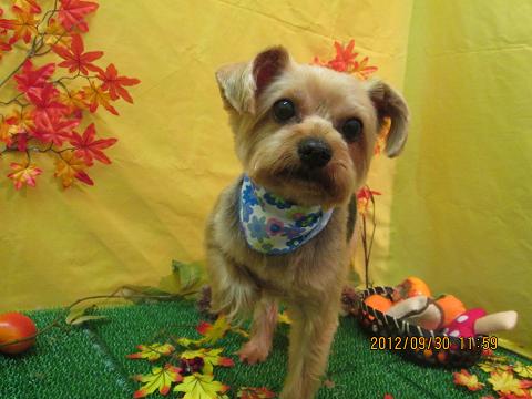 ファイル 5012-2.jpg