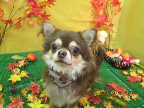 ファイル 5013-2.jpg