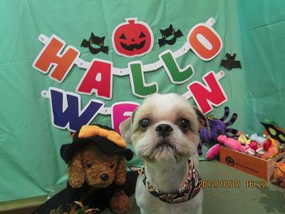 ファイル 5018-2.jpg