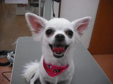 ファイル 502-1.jpg