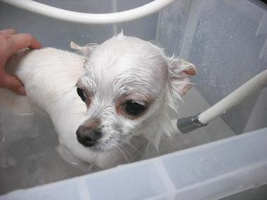 ファイル 502-2.jpg