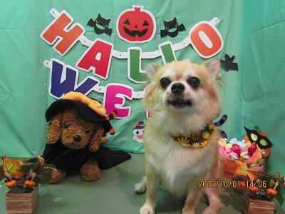 ファイル 5021-1.jpg