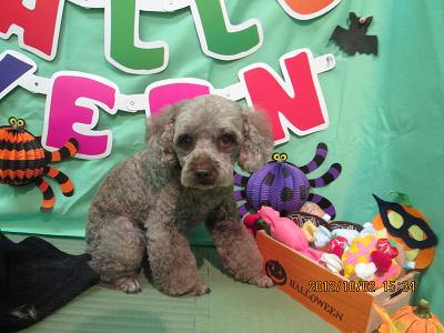 ファイル 5024-1.jpg