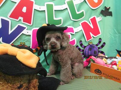 ファイル 5024-2.jpg