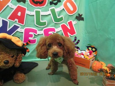 ファイル 5025-2.jpg