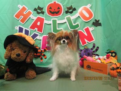 ファイル 5027-2.jpg