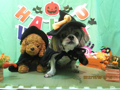 ファイル 5029-2.jpg