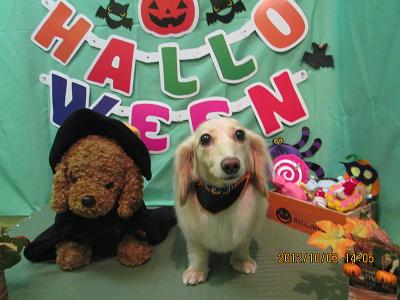 ファイル 5030-2.jpg