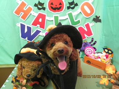 ファイル 5031-1.jpg