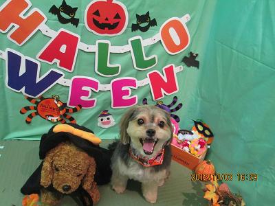 ファイル 5032-2.jpg