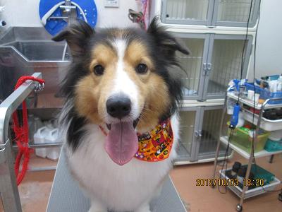 ファイル 5033-2.jpg