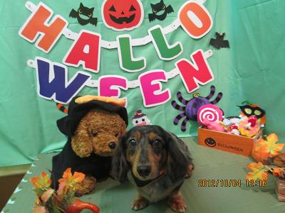 ファイル 5034-2.jpg