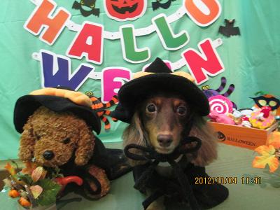 ファイル 5035-2.jpg