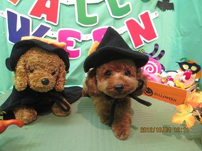 ファイル 5036-2.jpg