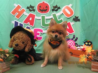 ファイル 5037-2.jpg