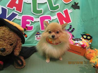 ファイル 5038-2.jpg