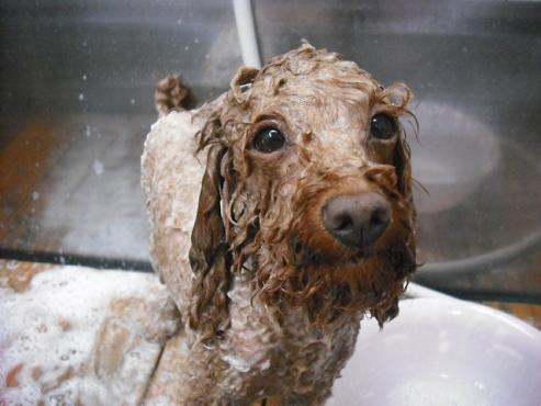 ファイル 504-2.jpg