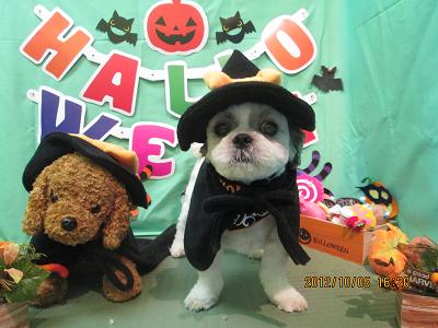 ファイル 5040-2.jpg