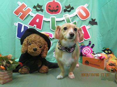 ファイル 5041-2.jpg