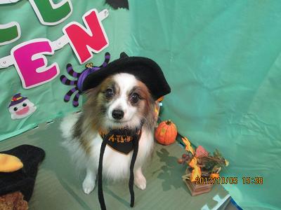 ファイル 5042-2.jpg