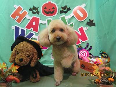 ファイル 5045-2.jpg