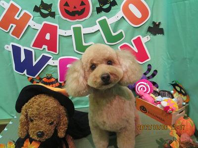 ファイル 5046-2.jpg