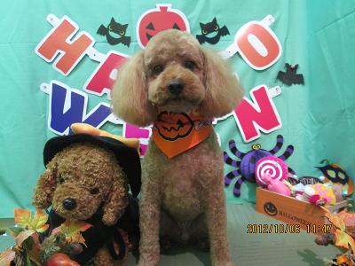 ファイル 5047-2.jpg