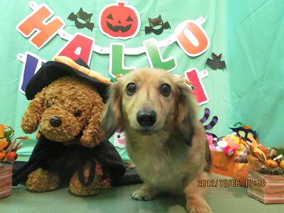 ファイル 5048-2.jpg