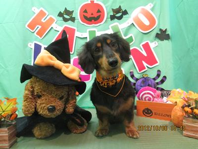 ファイル 5049-2.jpg