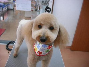 ファイル 505-1.jpg