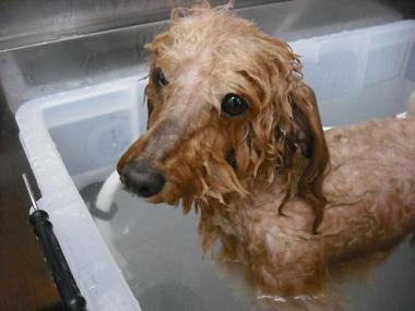 ファイル 505-2.jpg