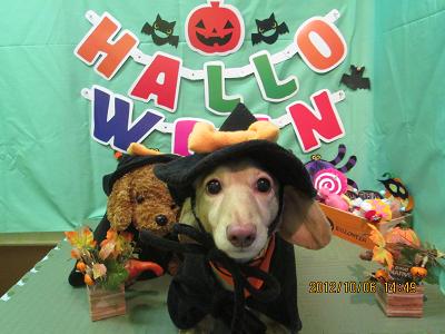 ファイル 5050-1.jpg