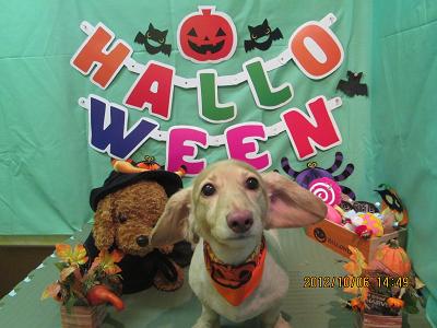 ファイル 5050-2.jpg