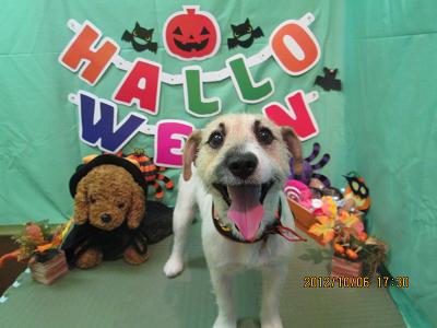 ファイル 5051-1.jpg