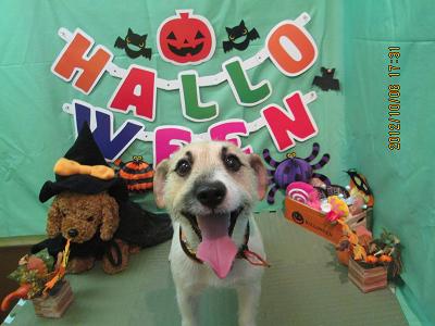 ファイル 5051-2.jpg