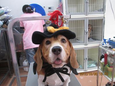 ファイル 5052-1.jpg