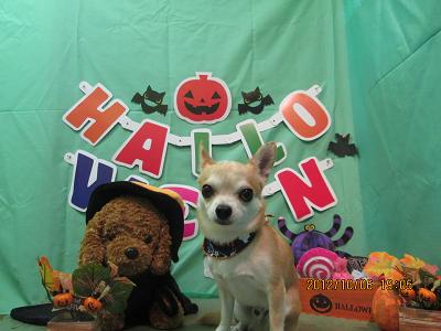 ファイル 5053-2.jpg