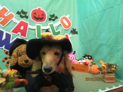 ファイル 5054-1.jpg