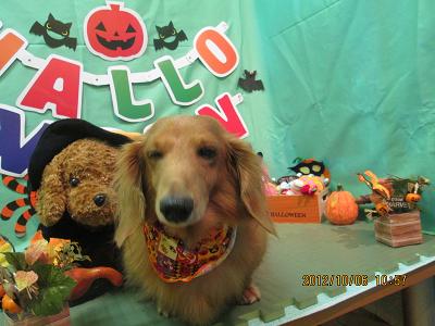 ファイル 5054-2.jpg