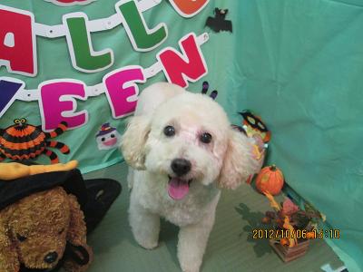 ファイル 5056-2.jpg