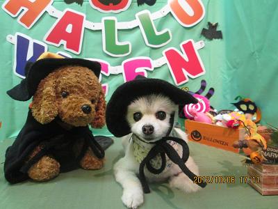 ファイル 5057-1.jpg