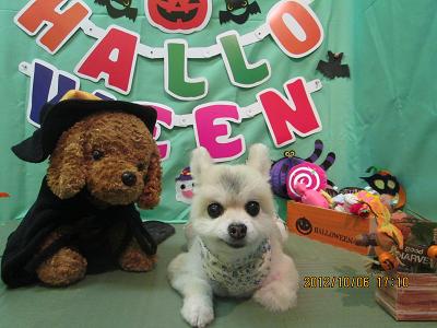 ファイル 5057-2.jpg