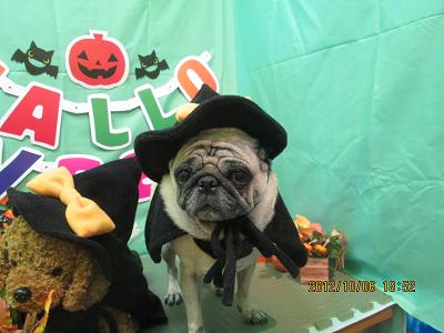 ファイル 5059-1.jpg