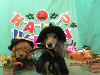 ファイル 5061-1.jpg