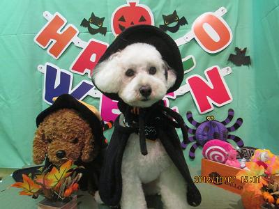 ファイル 5062-1.jpg