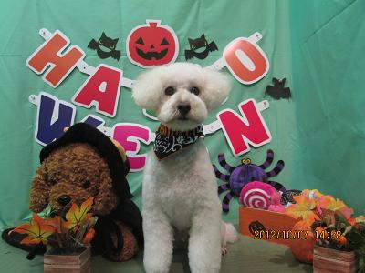 ファイル 5062-2.jpg