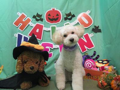 ファイル 5063-2.jpg