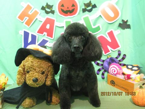 ファイル 5064-2.jpg