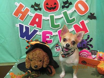 ファイル 5065-2.jpg